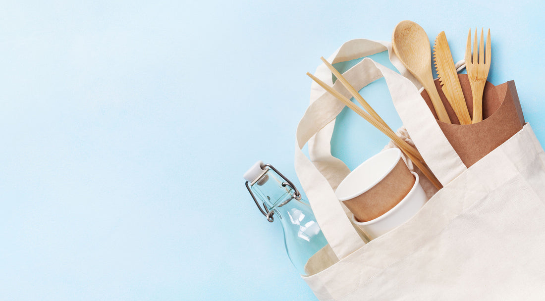 Top Tips for Embracing an Eco-Friendly Lifestyle